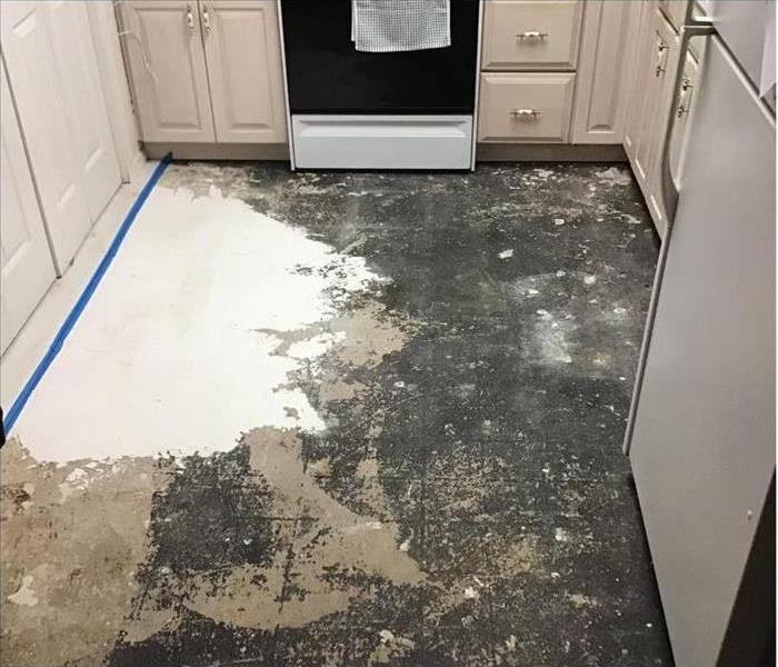 Kitchen flood